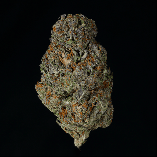 Blueberry Pancakes THCA Flower - Lost In Translation