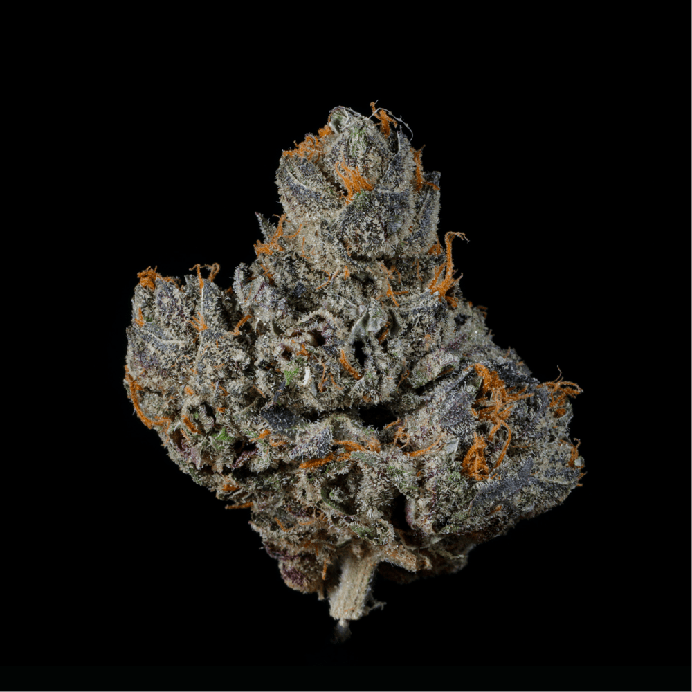 BOLO Runtz THCA Flower - Lost In Translation