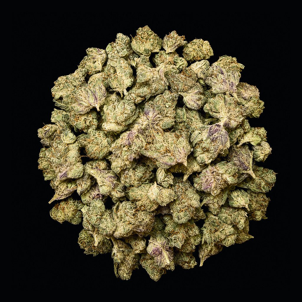 Gelato 33 THCA Flower - Lost In Translation