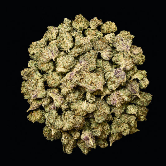 Gelato #33 THCA Flower