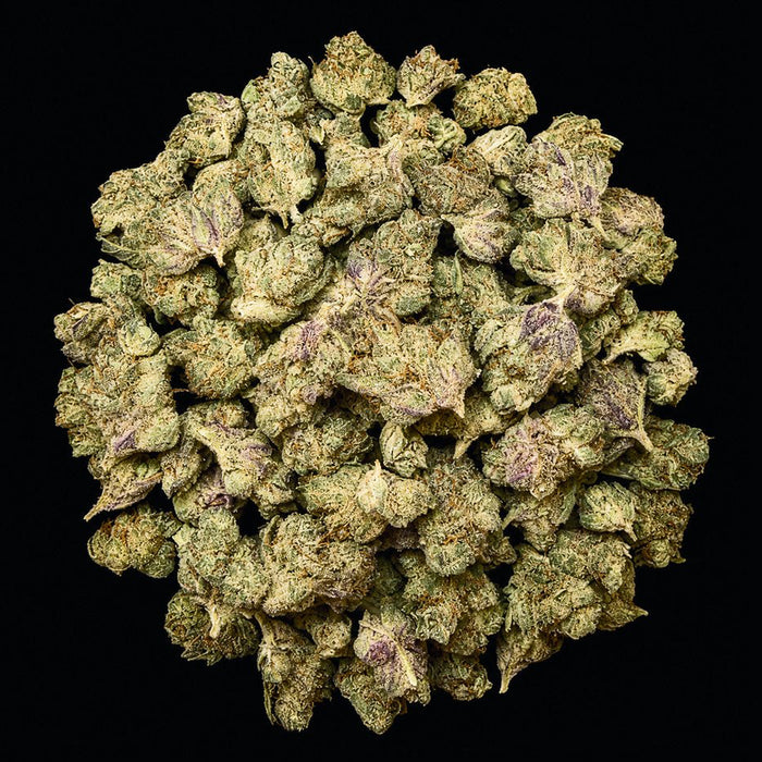 Gelato 33 THCA Flower - Lost In Translation