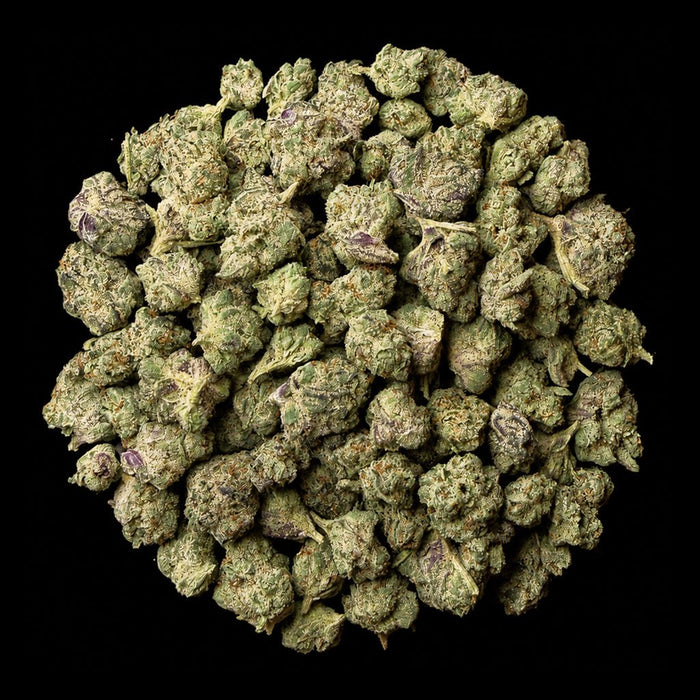 Grape Candy THCA Flower - Lost In Translation