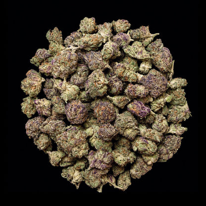 BOLO Runtz THCA Flower - Lost In Translation