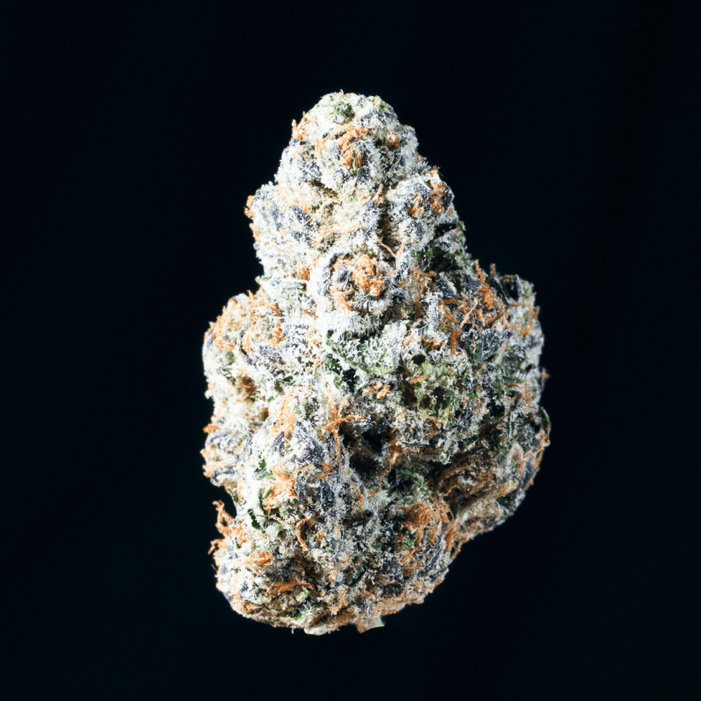 Bubble Bath THCA Flower - Lost In Translation