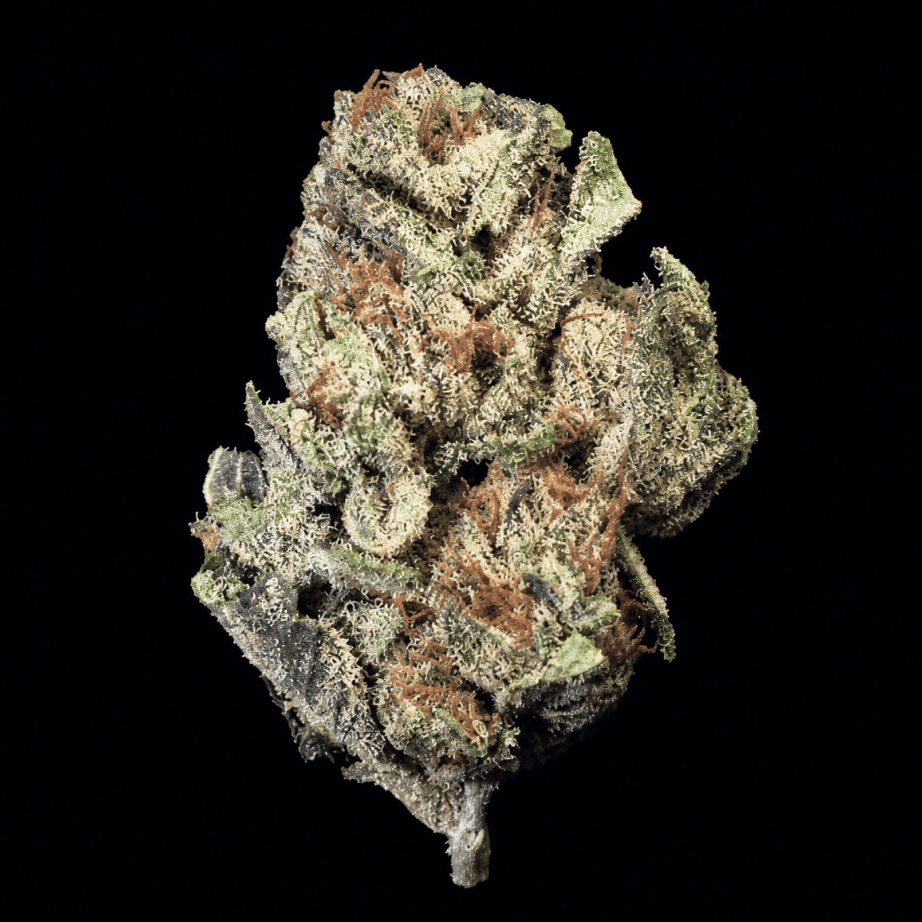 Bubble Belts THCA Flower - Lost In Translation