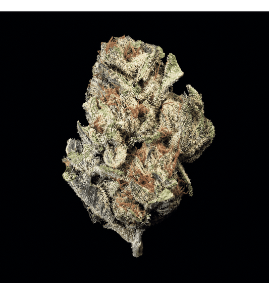Bubble Belts THCA Flower - Lost In Translation