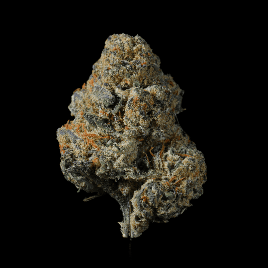 Bubblegum Runtz THCA Flower - Lost In Translation