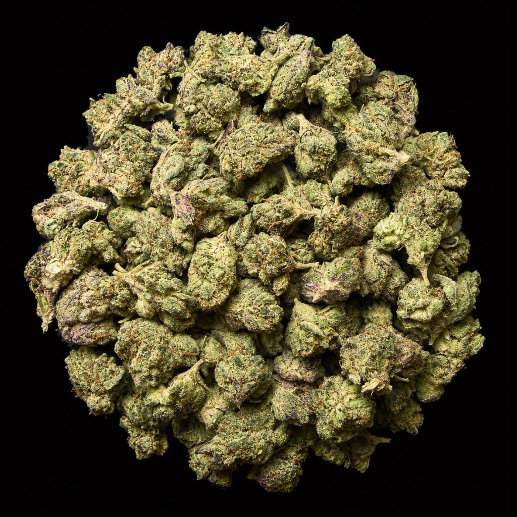 Bubble Belts THCA Flower - Lost In Translation