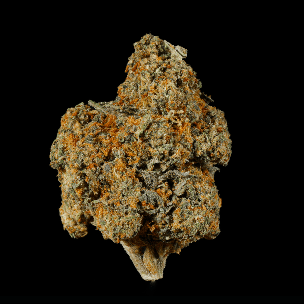 Bubblegum Gushers THCA Flower - Lost In Translation