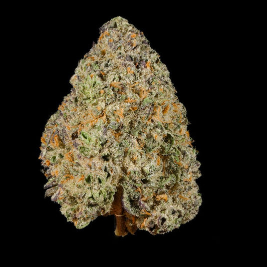 Bubblegum Horchata THCA Flower - Lost In Translation