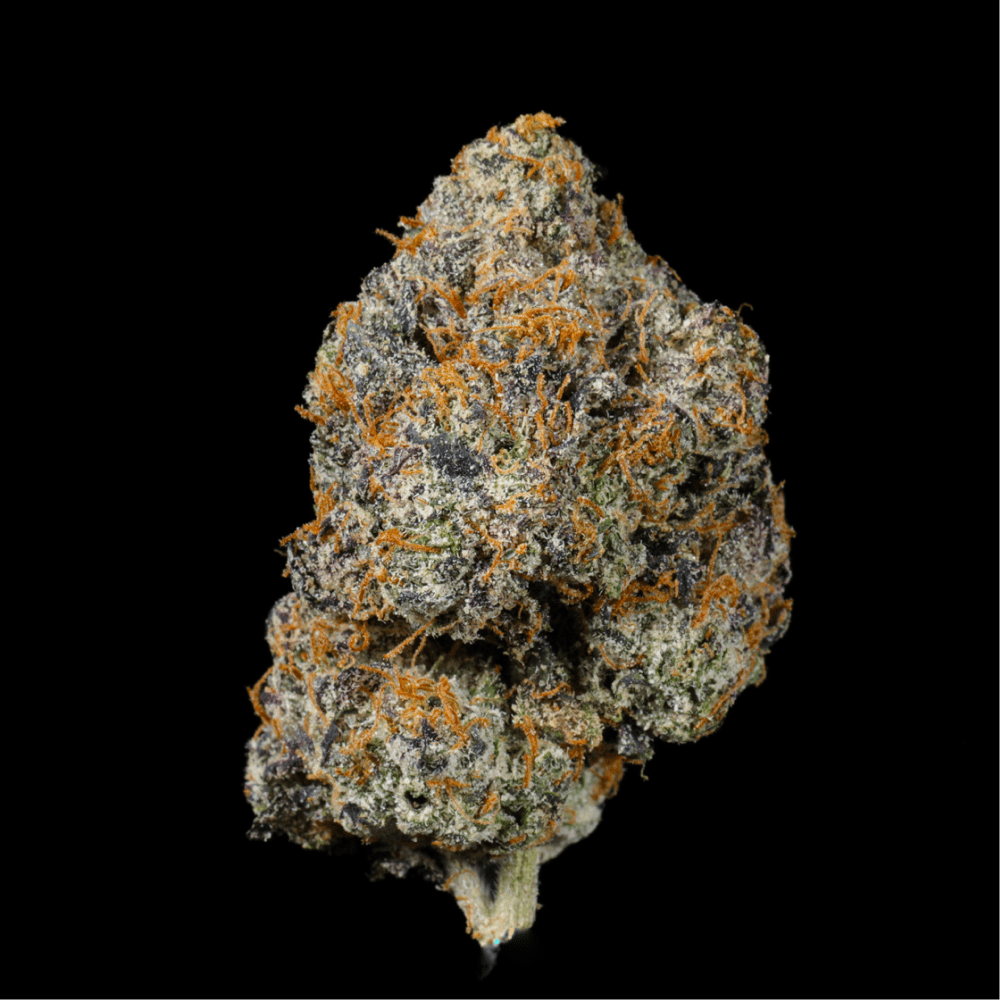 Bubblegum Horchata THCA Flower - Lost In Translation
