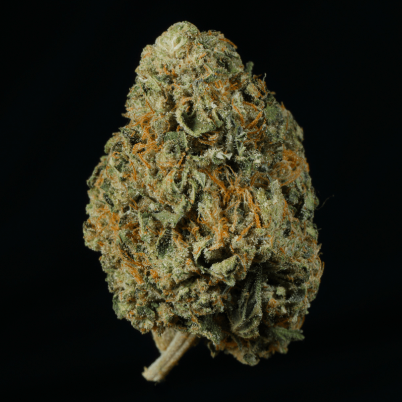 Wizard Fuel THCA Flower - Lost In Translation