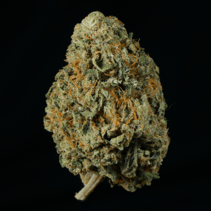 Wizard Fuel THCA Flower - Lost In Translation