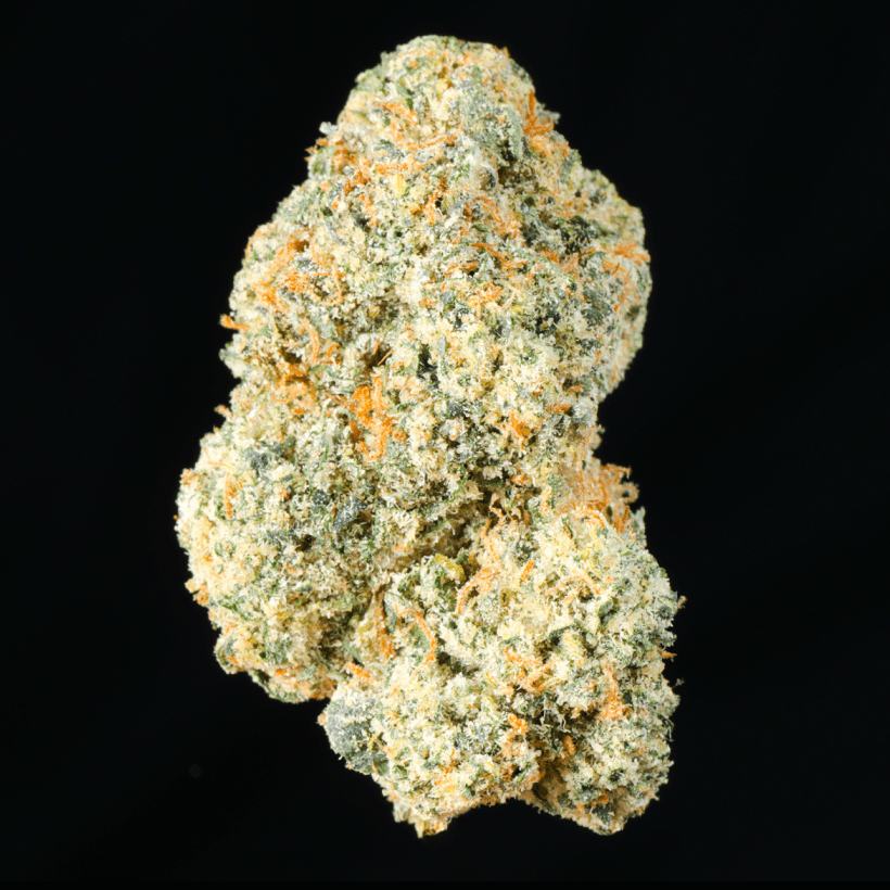 Cake Bomb THCA Flower - Lost In Translation
