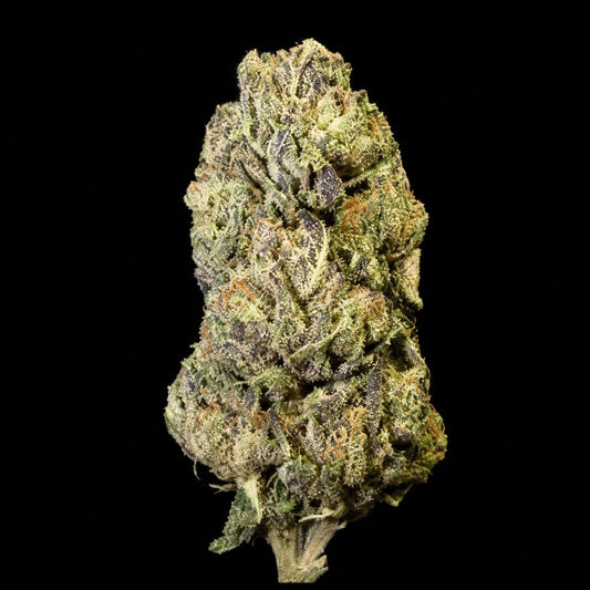 Candi Paint THCA Flower - Lost In Translation