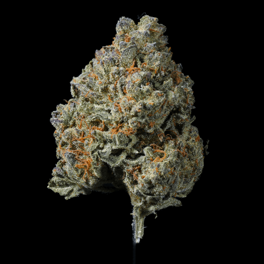 Candi Paint THCA Flower - Lost In Translation