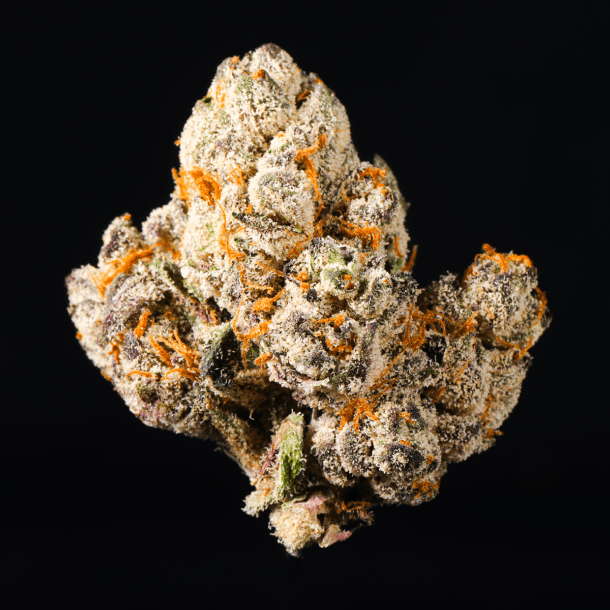 Candi Paint THCA Flower - Lost In Translation