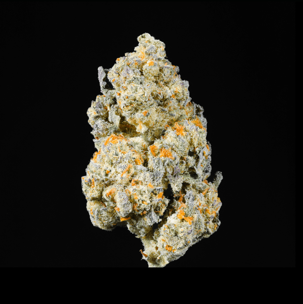 Candy Jack - THCa Flower - Lost In Translation
