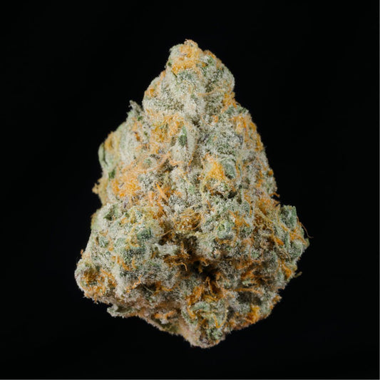 Fire Crotch THCA Flower - Lost In Translation