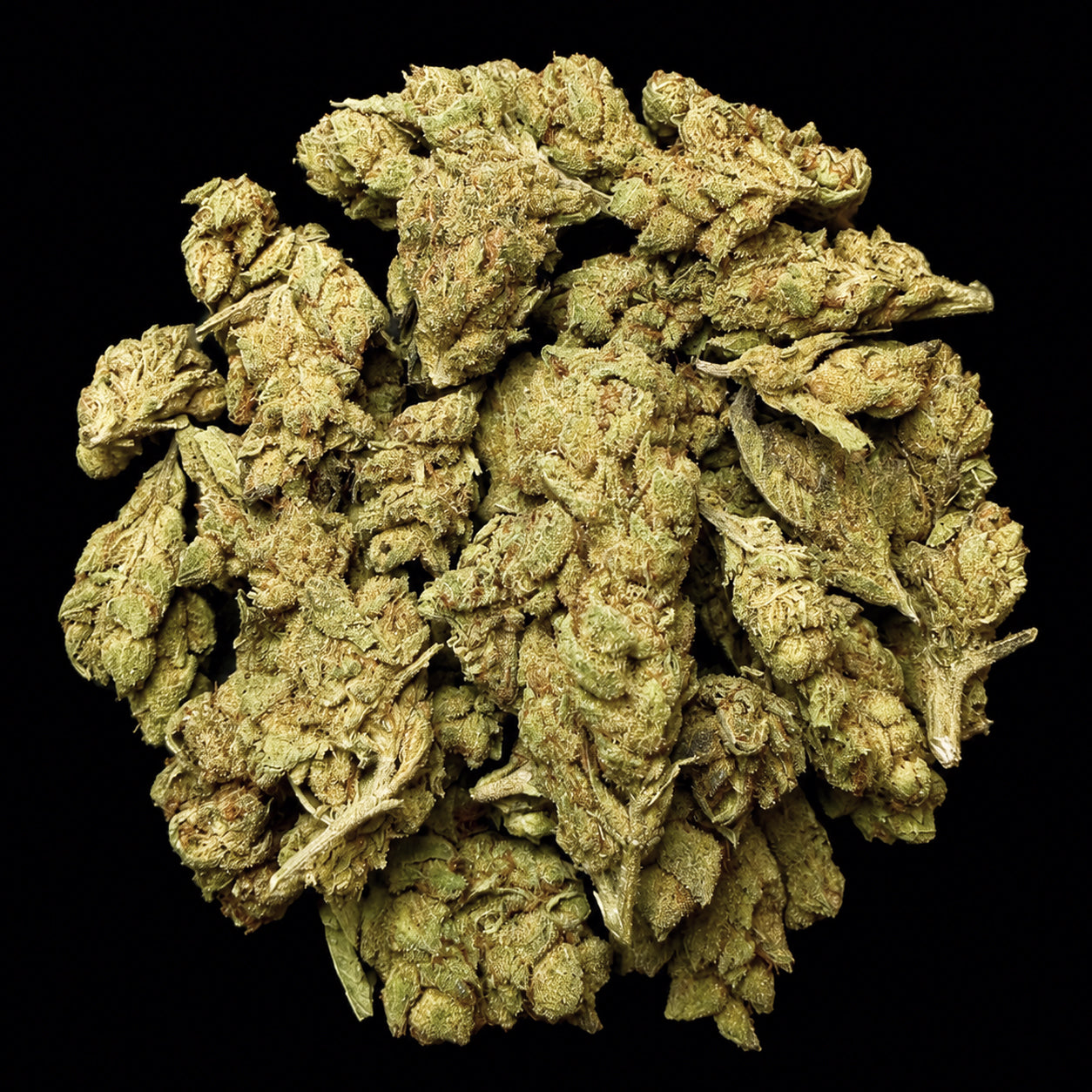 Blue Andies THCA Flower