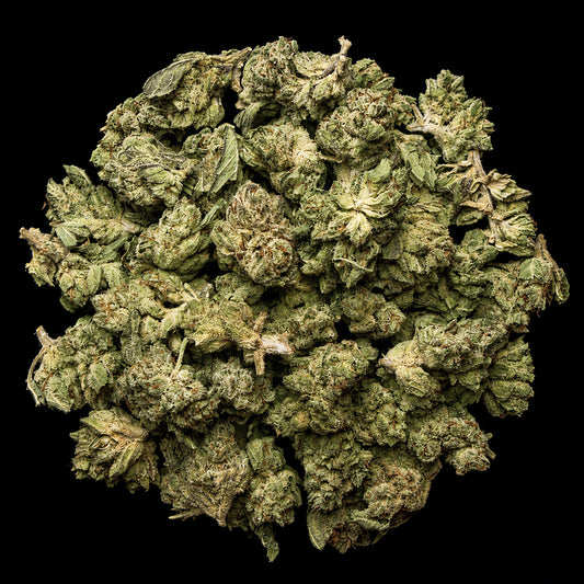 Vanilla Cream Cake THCA Flower