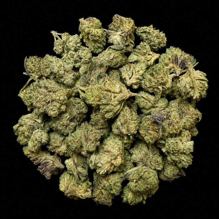 Biscotti THCA Flower
