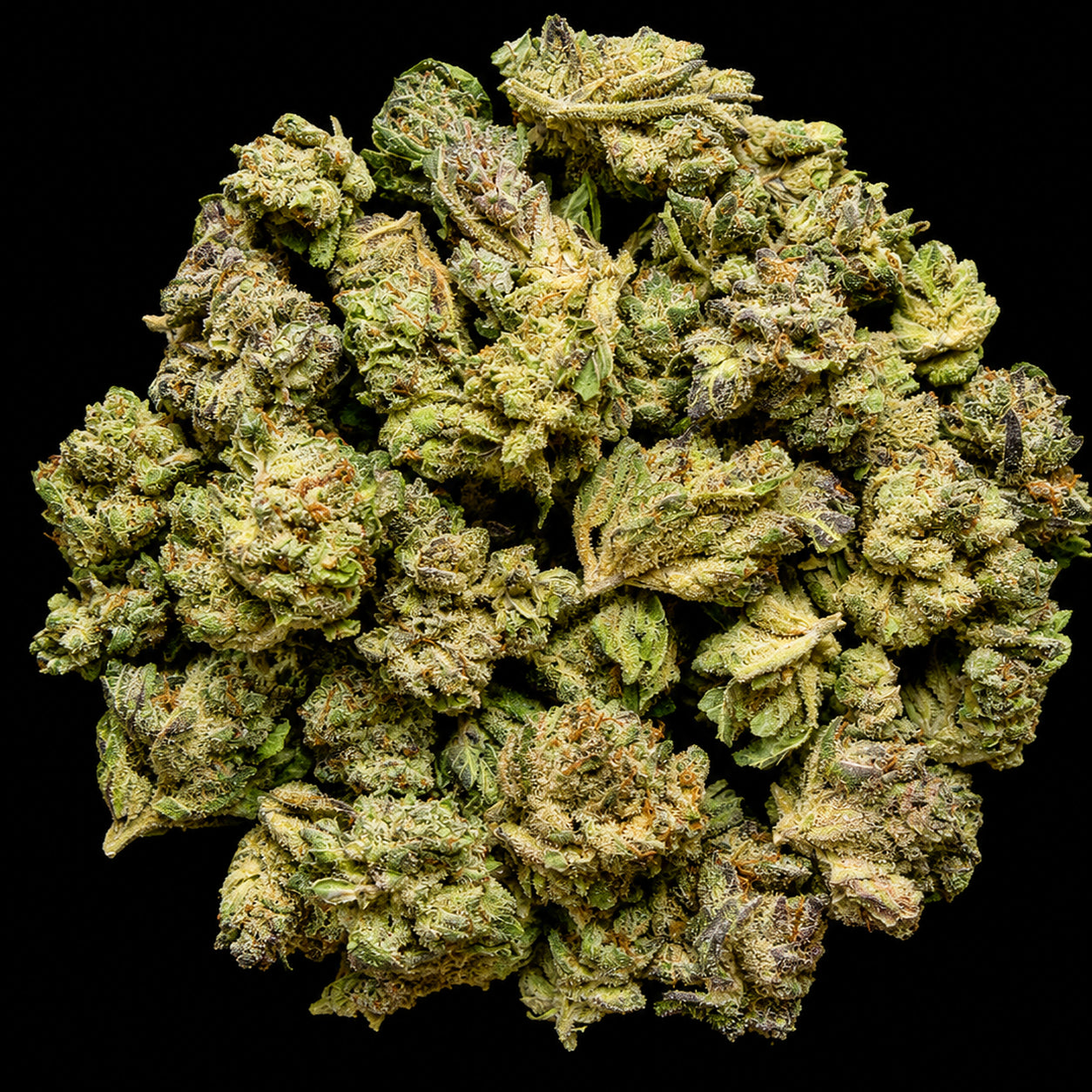 Rainbow Runtz THCA Flower