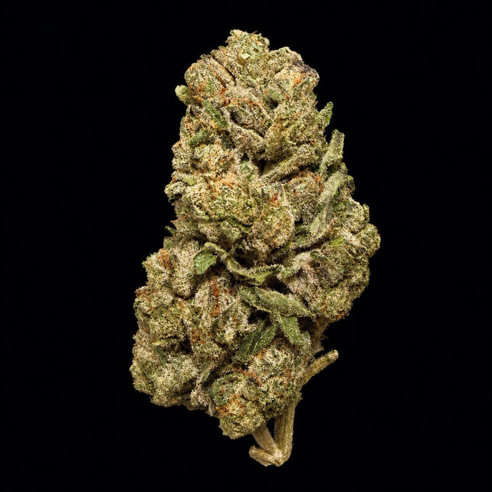Double Runtz THCA Flower - Lost In Translation