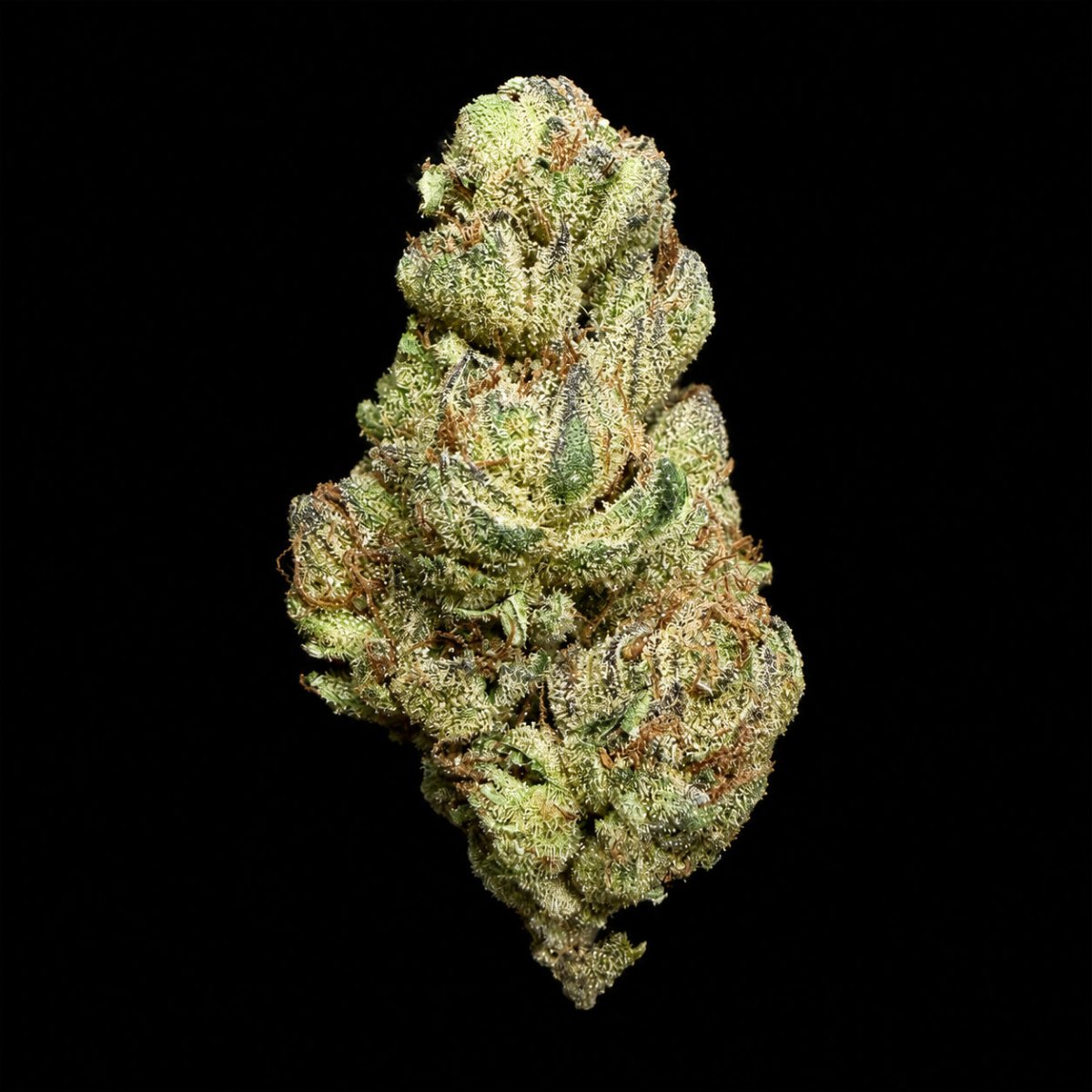 Gelonade THCA Flower - Lost In Translation