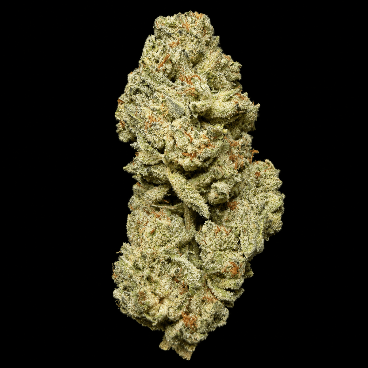 Snowman THCA Flower - Lost In Translation