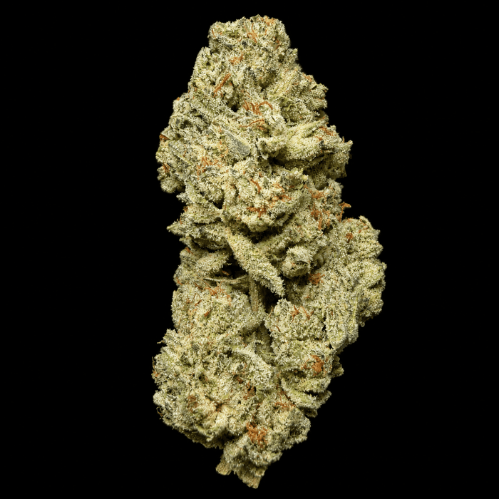 Snowman THCA Flower - Lost In Translation