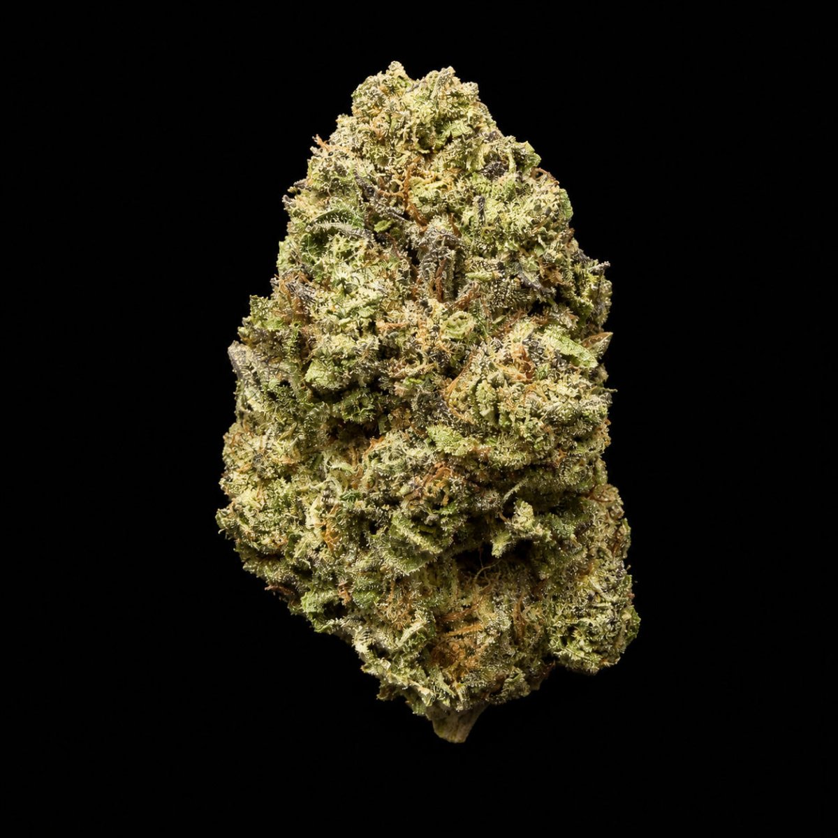 Apples ‘n Bananas THCA Flower - Lost In Translation