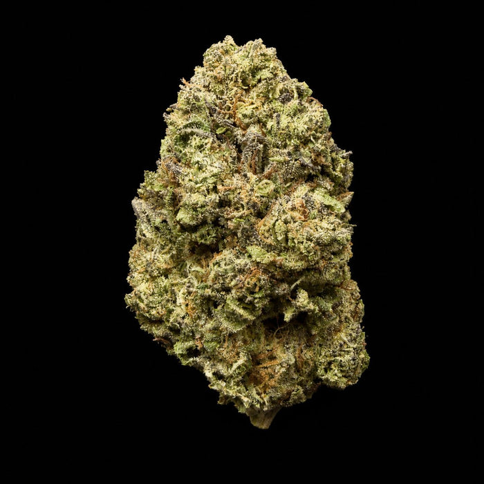 Apples ‘n Bananas THCA Flower - Lost In Translation