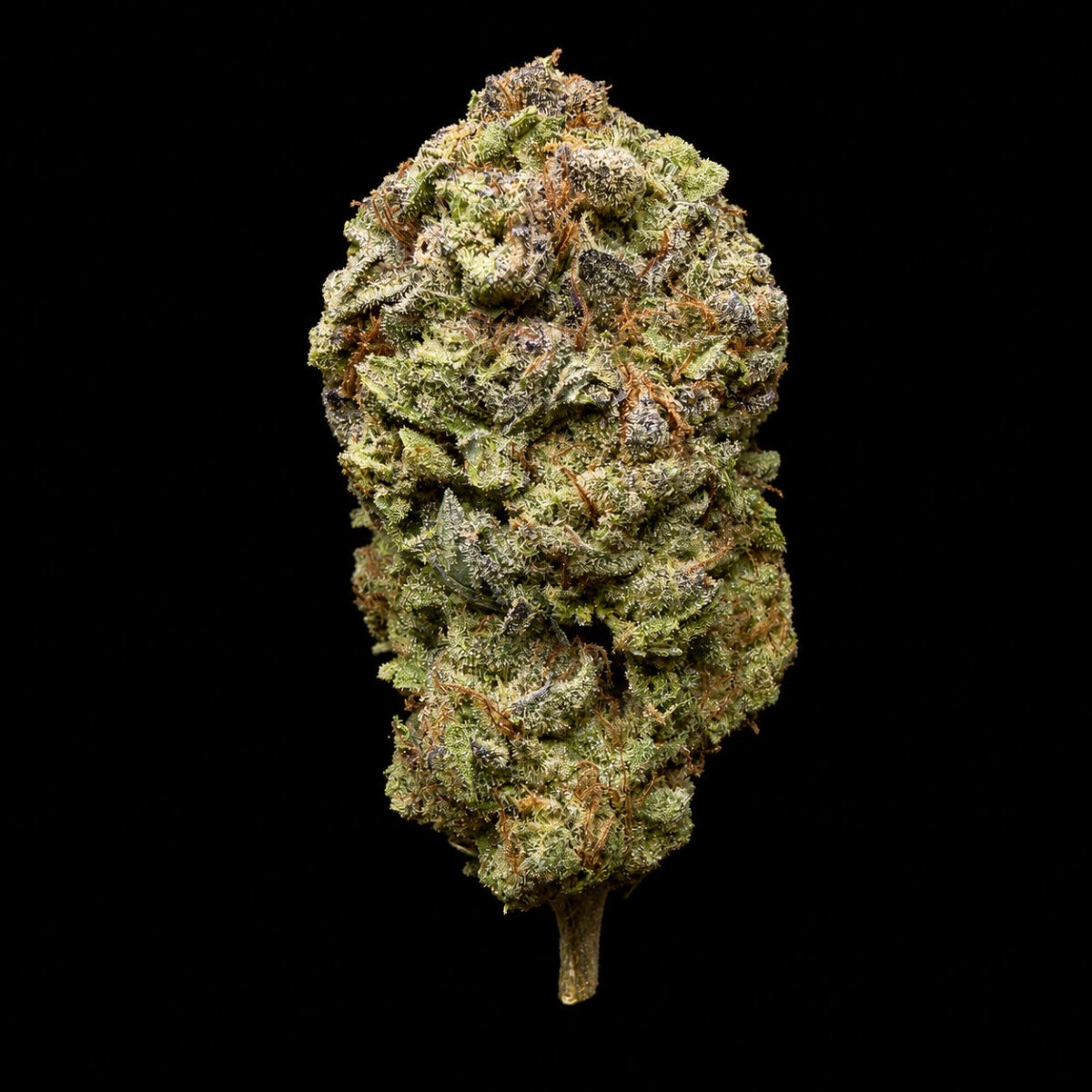 Gush Mintz THCA Flower - Lost In Translation