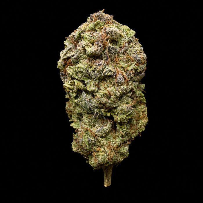 Gush Mintz THCA Flower - Lost In Translation