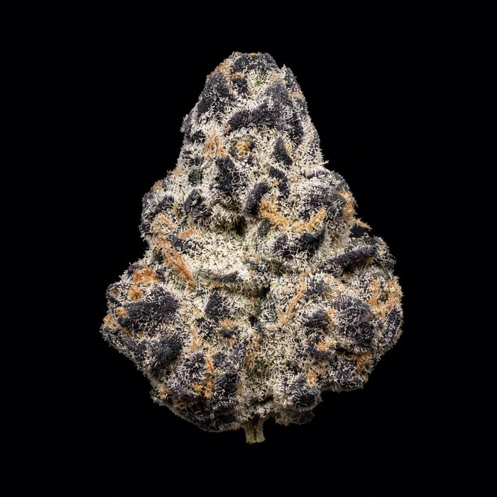 Sharpiez THCA Flower - Lost In Translation