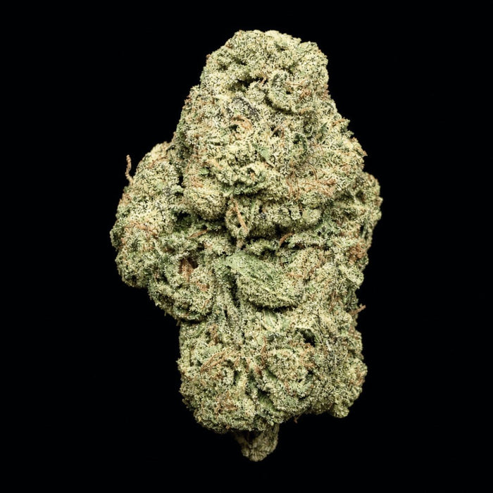 Pink Kitty THCA Flower - Lost In Translation