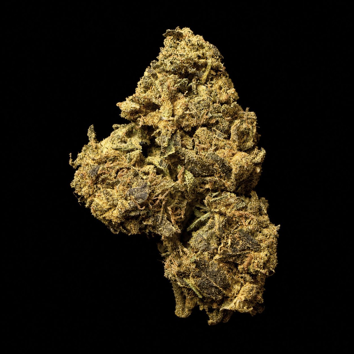 Snowman THCA Flower - Lost In Translation