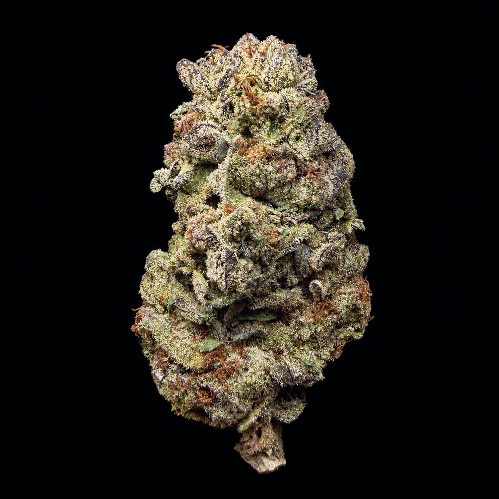 Applescotti THCA Flower - Lost In Translation