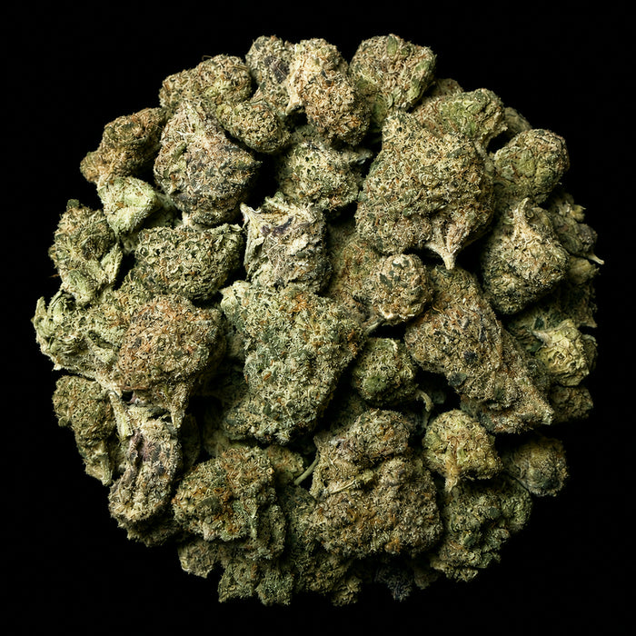 Pluto 85 THCA Flower