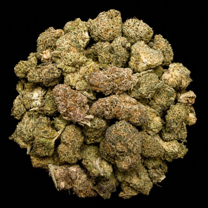 Gush Mintz THCA Flower - Lost In Translation