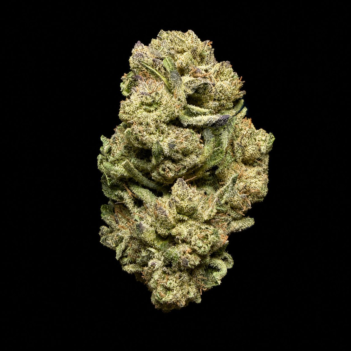 Carbon Fiber THCA Flower - Lost In Translation