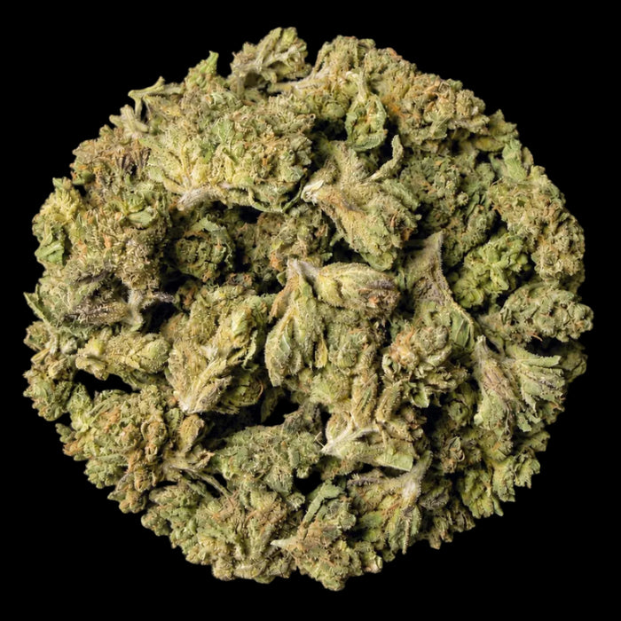 Gelato THCA Flower