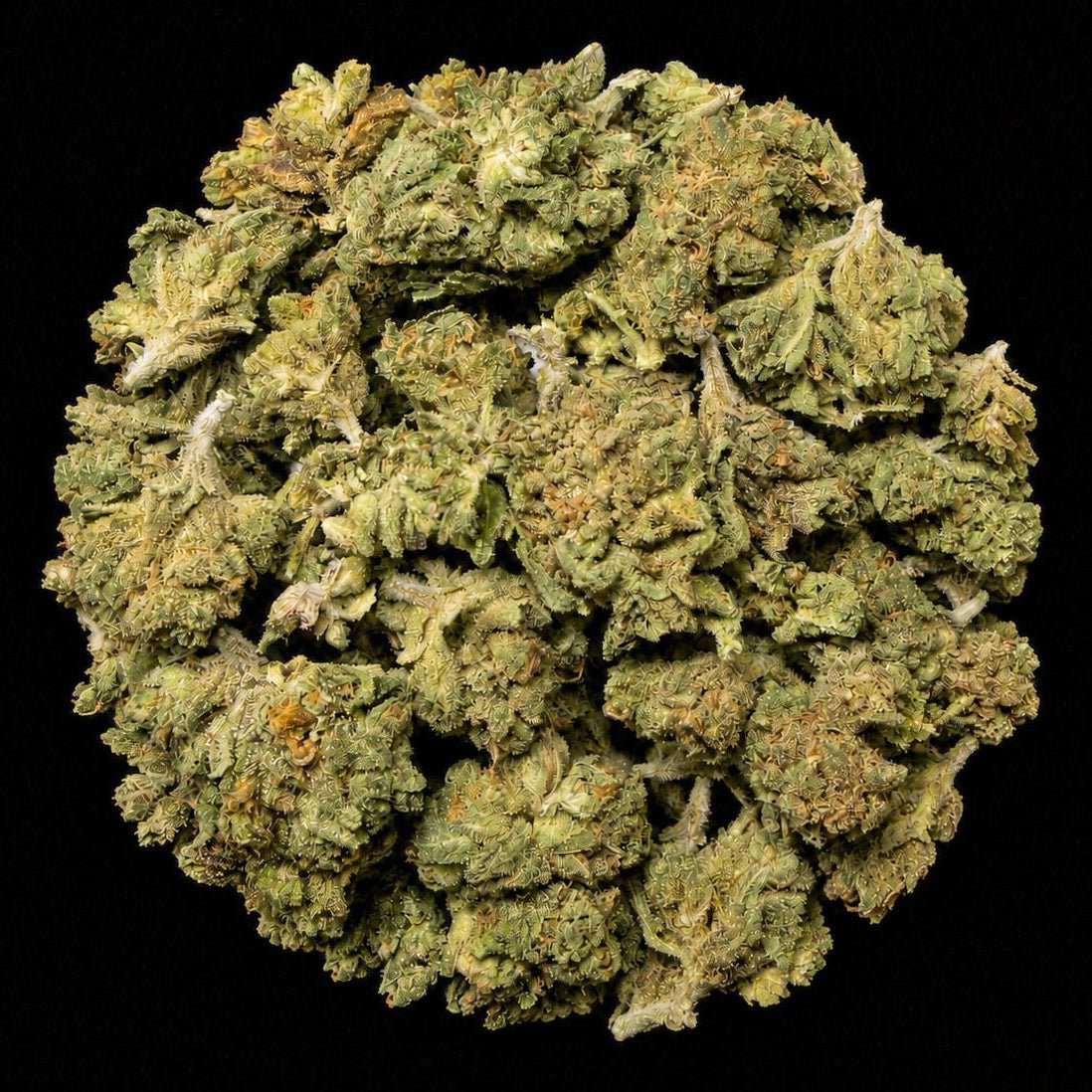 Gumbo THCA Flower - Lost In Translation