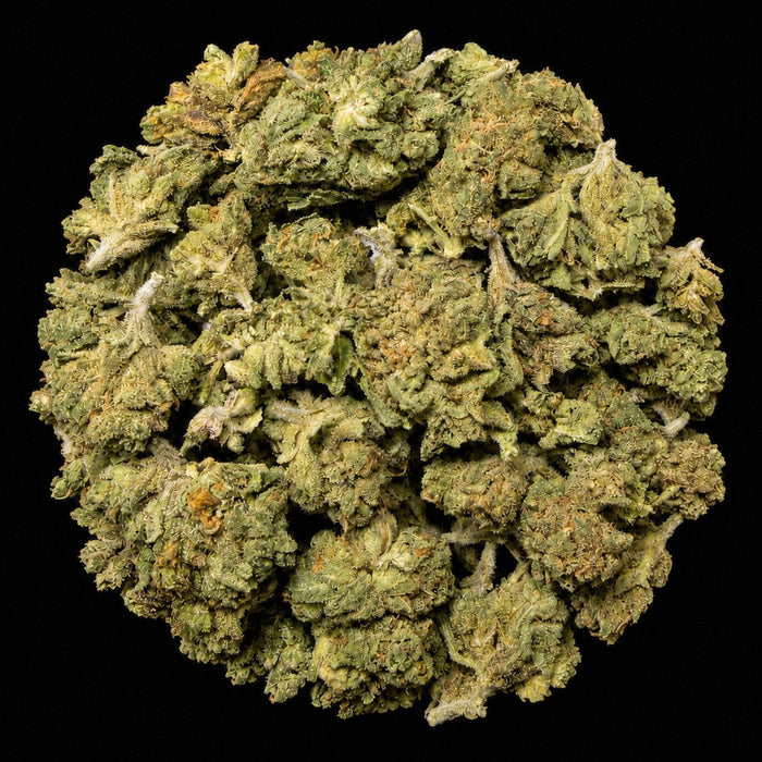 Gumbo THCA Flower