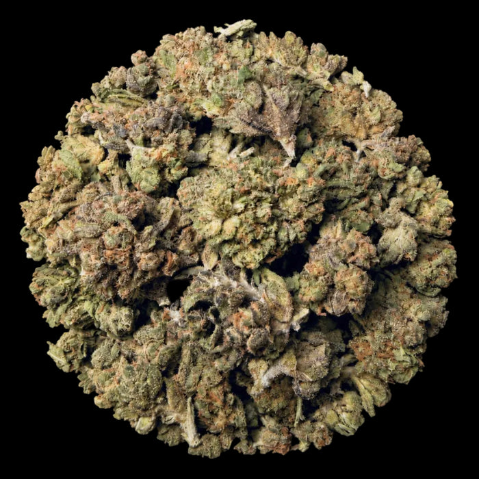 Gush Mintz THCA Flower