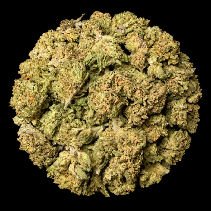 Lemon OG THCA Flower