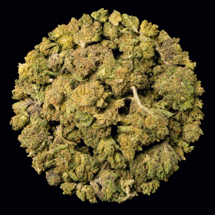 Potty Mouth THCA Flower