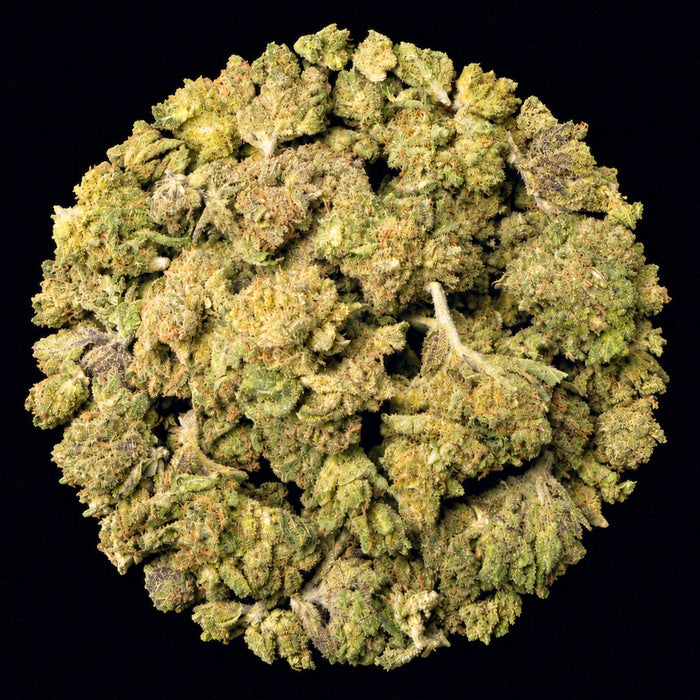 Potty Mouth THCA Flower