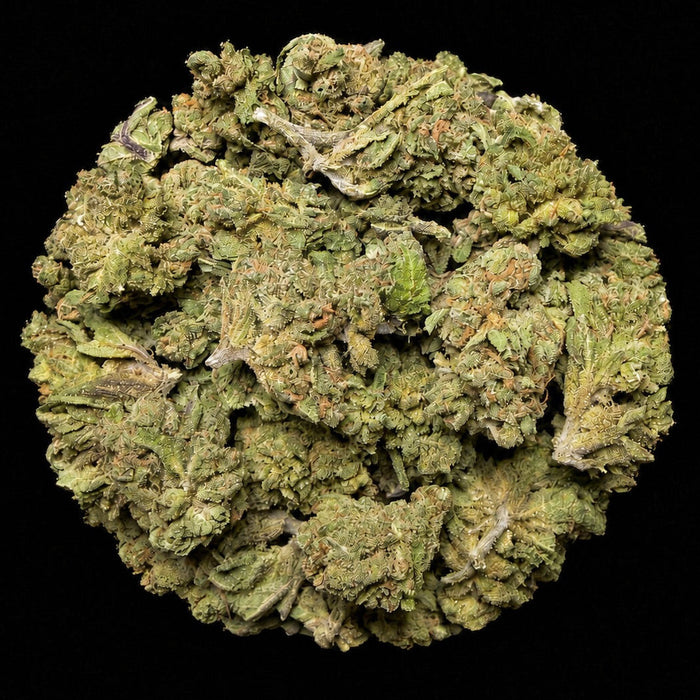 Runtz OG THCA Flower